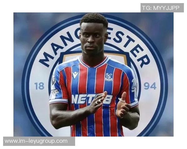 英超俱乐部对曼城115项指控表达不满呼吁尽快结案以维护联赛公平性 英超俱乐部对曼城115项指控表达不满呼吁尽快结案以维护联赛公平性